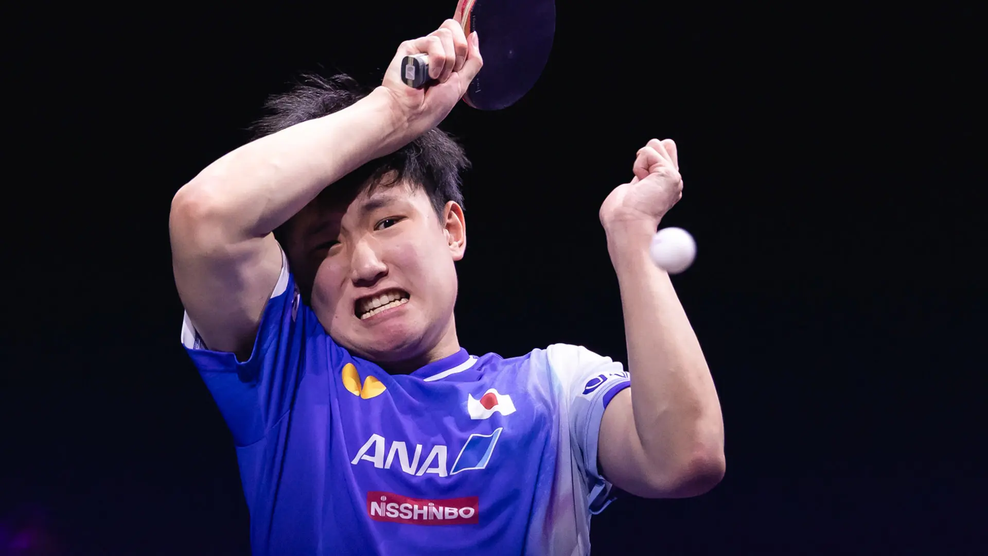 次局王楚钦, 智和