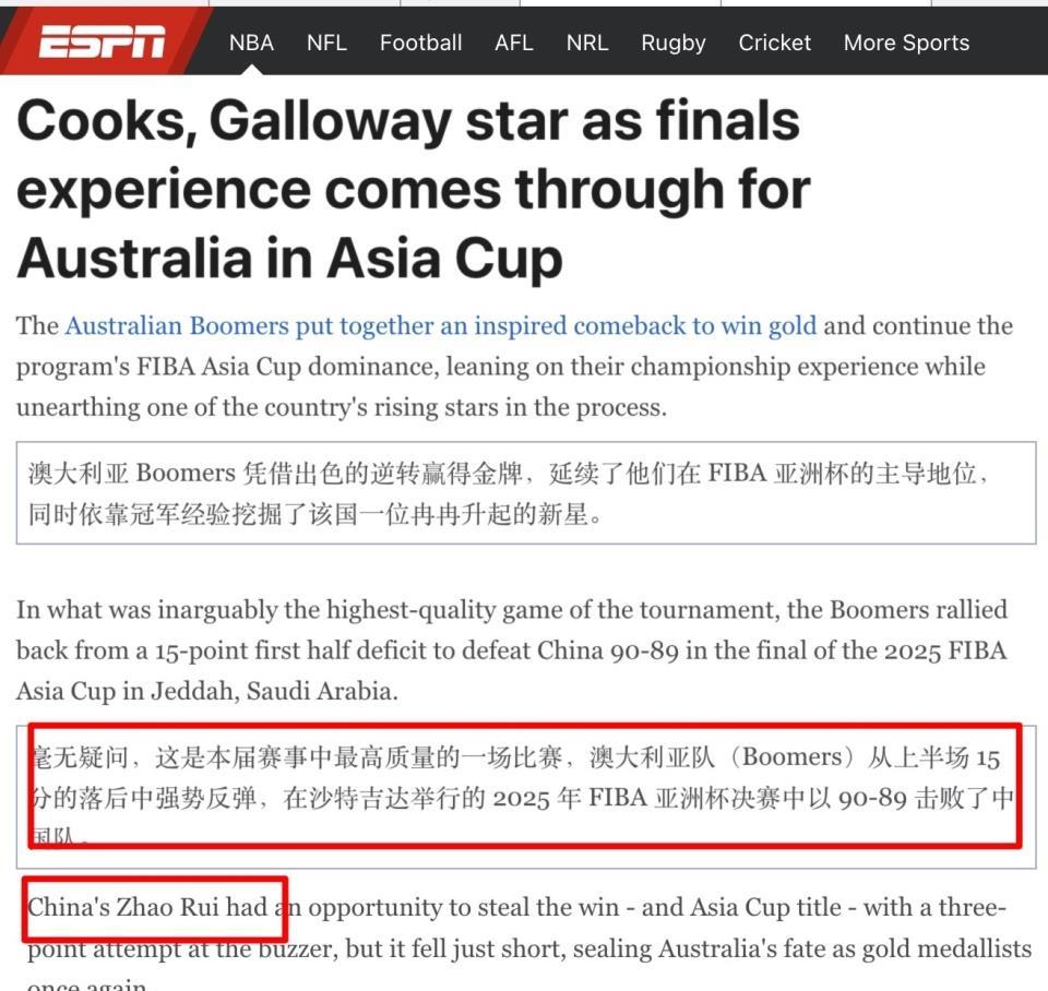 男篮, 体的版面