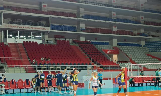 我们的实力, entit